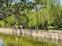 -元大都城垣遗址公园