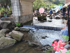 -重庆彩云湖湿地公园