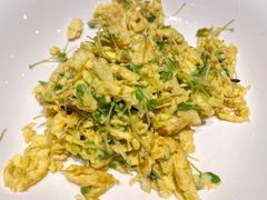 豆芽炒蛋-莫山小馆(大石桥店)