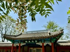 -北京石刻艺术博物馆(五塔寺)