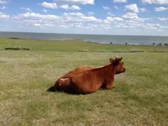 -北极村旅游风景区