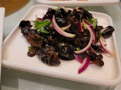 跳水木耳-撒拉花儿·新疆菜·清真(太阳宫店)