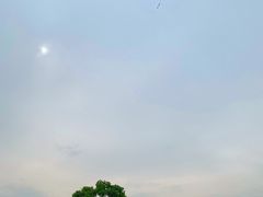 -良渚文化村