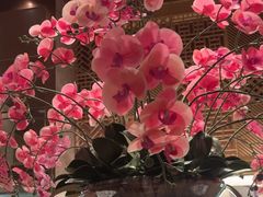 -嘉定凯悦·咖啡厅