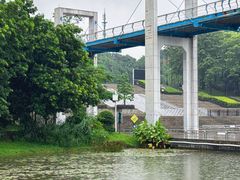 -东莞植物园