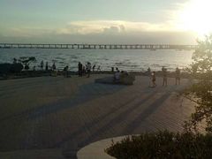 -宝安西湾红树林湿地公园