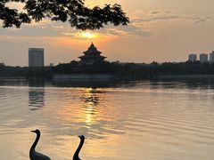 -顺峰山公园