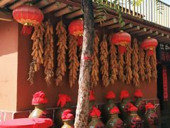 -云南民族村