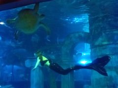 -石家庄市动物园