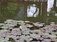 -荔湾湖公园