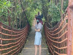 -吴淞炮台湾湿地森林公园烧烤区