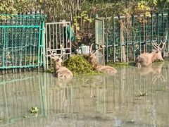 -溱湖国家湿地公园