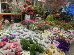 -双季花艺园艺市场(浦东店)