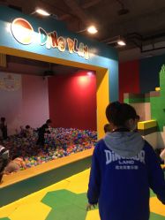 -恐龙探索乐园(磁器口店)