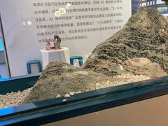 -老板恋上鱼(振华商厦店)