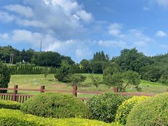 -棒棰岛宾馆景区