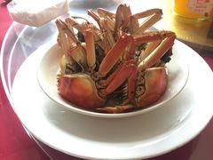 蒸螃蟹-臭桂鱼儿特色餐厅(朝晖七小区北区店)