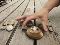 -青岛海泉湾度假区温泉