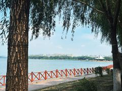 -丁香湖公园