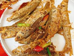 -芦茨金富饭庄·25年老字号·专做稻草鸡