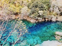 -叠溪松坪沟景区