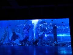 -波塞冬海底世界