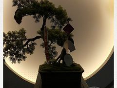 -席仁堂推拿按摩脊柱调理(世纪科贸大厦店)