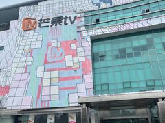 -湖南广电中心大楼