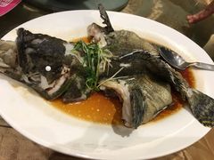 清蒸老虎斑-稻香酒家(天河城店)