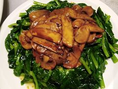 豆苗杏鲍菇-清水蘭軒