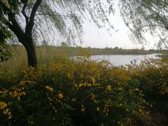 -同里国家湿地公园