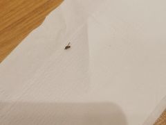 -萨莉亚意式餐厅(新洲佐阾新邑店)
