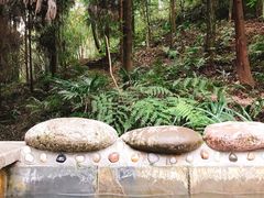 -花水湾第一村温泉大酒店