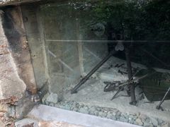 -青岛德国总督楼旧址博物馆