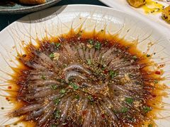 -聚丰园熊猫餐厅(紫金1912·玖爱谷店)