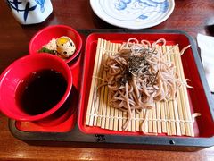 冷荞麦面-加奈日本料理