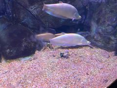 -常州海昌海洋探索馆