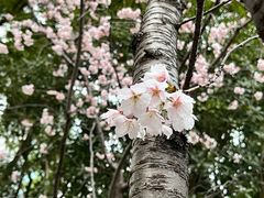 -静安雕塑公园