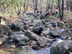 -香炉山国家森林公园