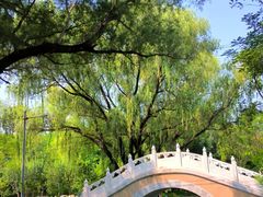 -北坞公园
