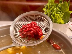 -八合里潮汕鲜牛肉火锅(上海汇智广场店)