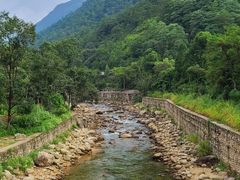 -姑婆山旅游区