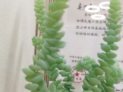 -维乐口腔(美维云门诊陆家嘴店)