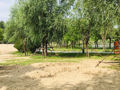 -东郊湿地公园