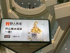 -野人先生Gelato(上海长宁龙之梦店)