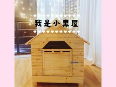 -Husky Go! 哈士奇体验馆·宠物咖啡厅狗咖