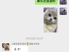 -优米宠物美容(体育场路店)