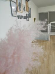 -Doris多里斯半永久纹眉·SMP纹发·发际线