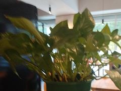 -YAFEE雅菲·粤菜·湘菜·融合菜(魏公村店)