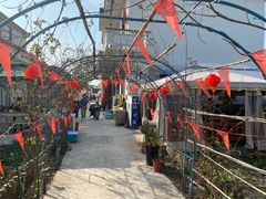 -大莲湖农家乐(青西郊野公园店)